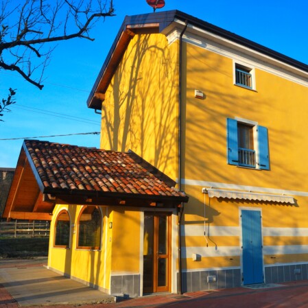 maneggio e passeggiate a cavallo